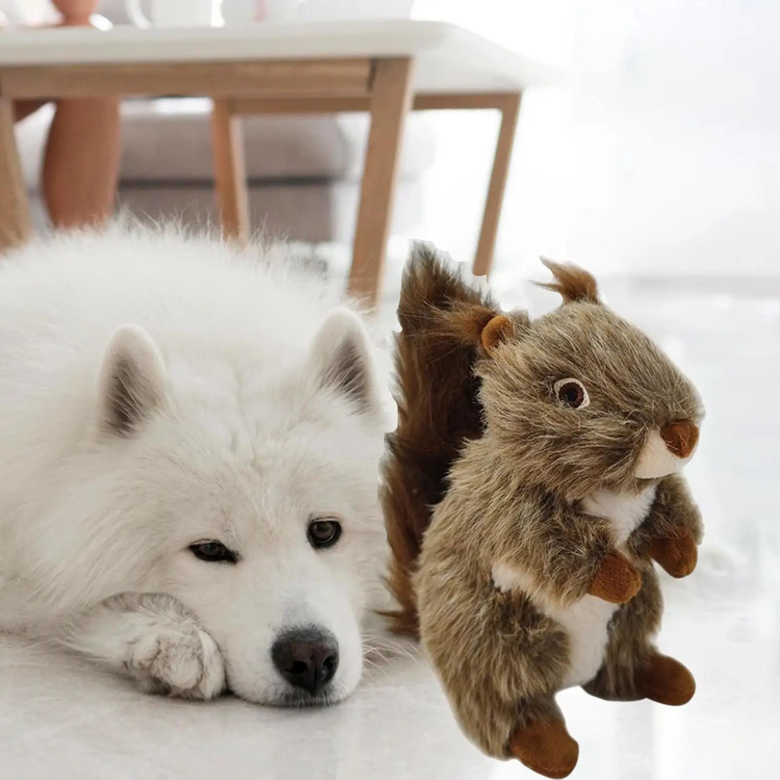 Jouet Squeaky Squirrel pour Chien - Jouet Interactif