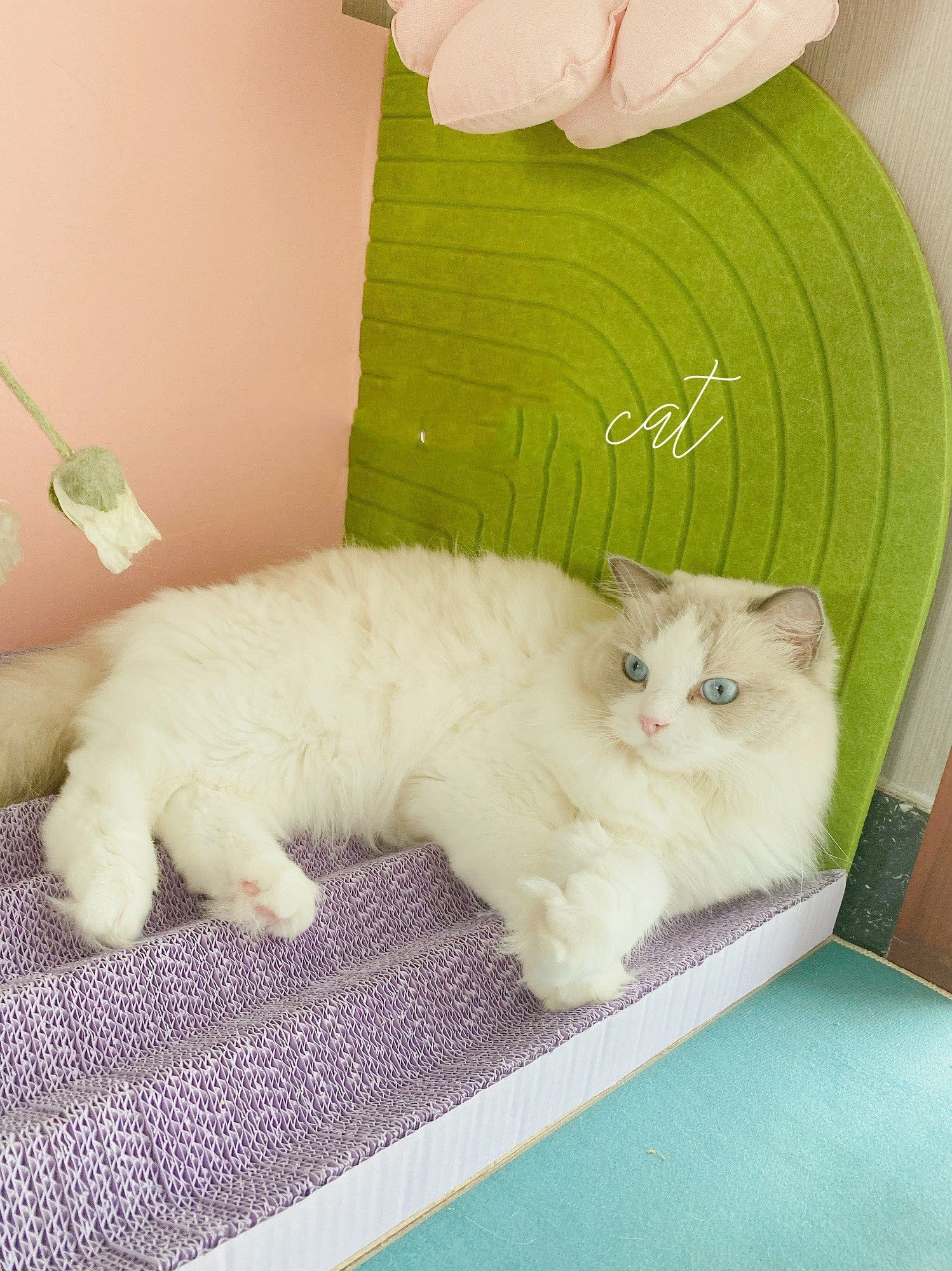 Chat détendu sur une planche à gratter verticale confortable et colorée.
