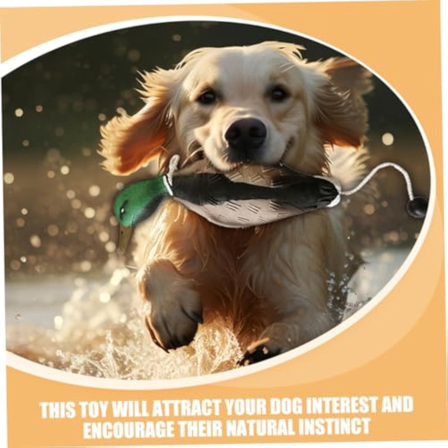 Jouet en Peluche Canard pour Chiens Mordeurs