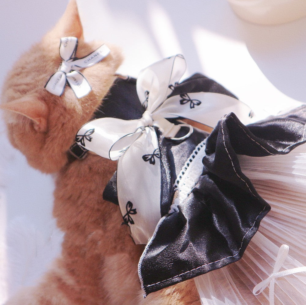 Chat stylé avec robe de traction noire et nœud papillon, confortable et chic pour les animaux.
