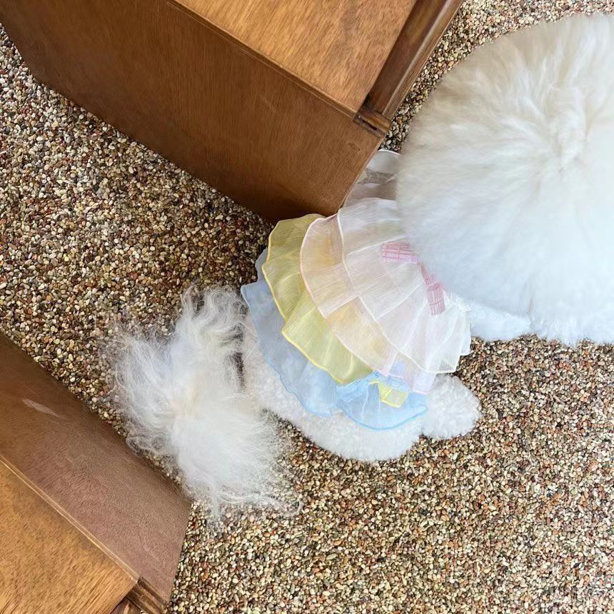 Jupe Multi-couche Respirante pour Chien et Chat - Été