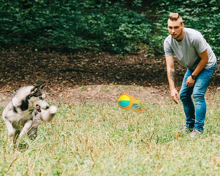 Balle de Lancer à Corde pour Chien - Jouet Interactif