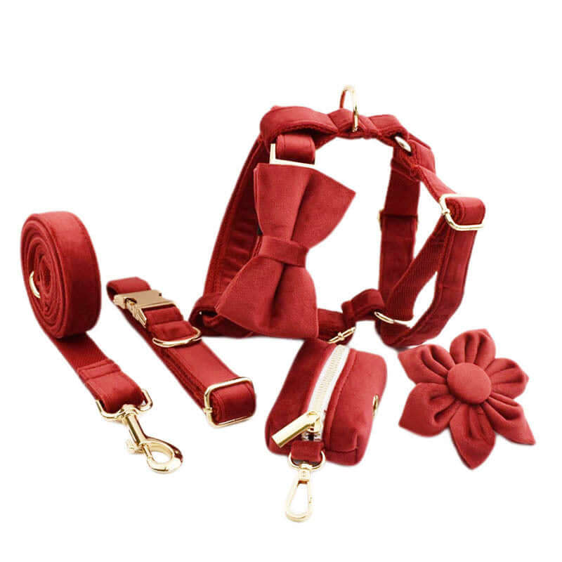Collier pour chien rouge avec laisse, noeud papillon, sac à déjections et fleur, ensemble d'accessoires élégants.