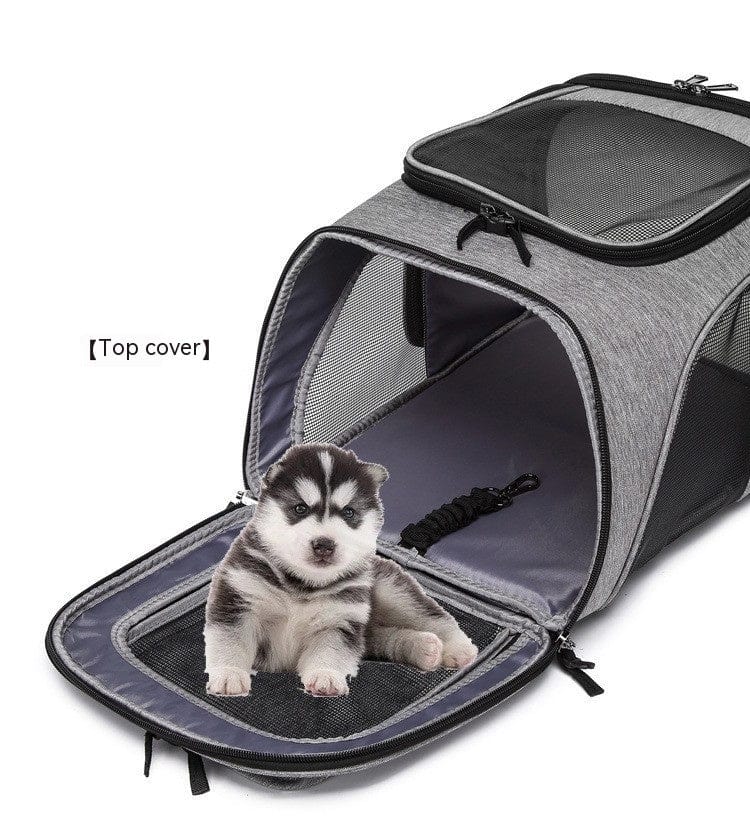 Sac à dos extensible pour animaux avec un chiot dans un espace confortable.