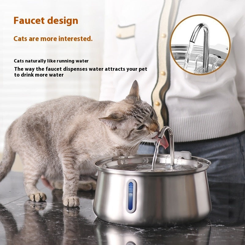 Distributeur d'eau en acier inoxydable avec robinet, incitant les chats à boire plus d'eau, conçu pour le bien-être animal.