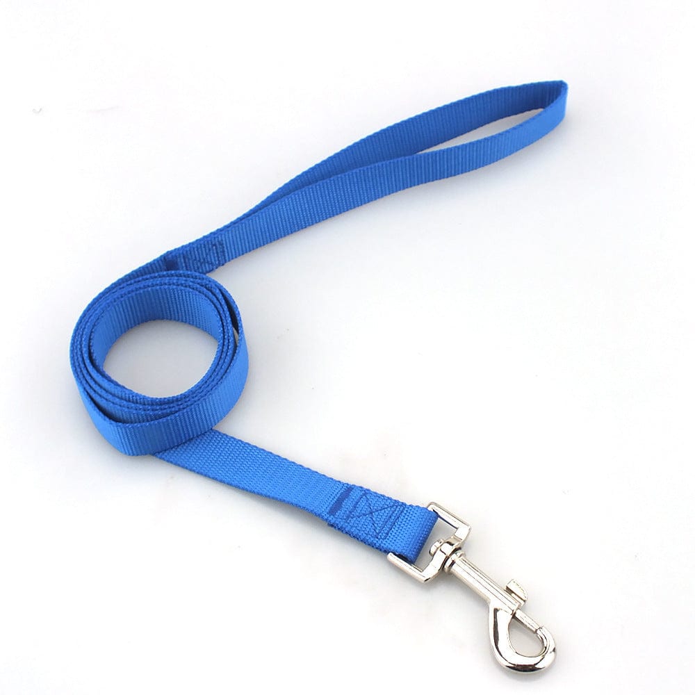 Corde de traction solide pour chien en nylon bleu, idéale pour les promenades sécurisées.