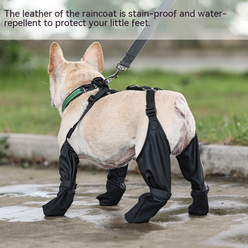 Petit chien portant des bottes étanches réglables, parfaites pour les promenades sous la pluie et les terrains glissants.