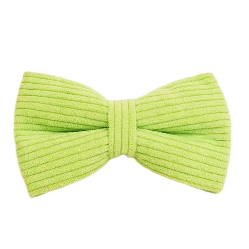 Collier en velours vert clair pour chien, élégant et confortable, parfait pour les accessoires d'animaux.