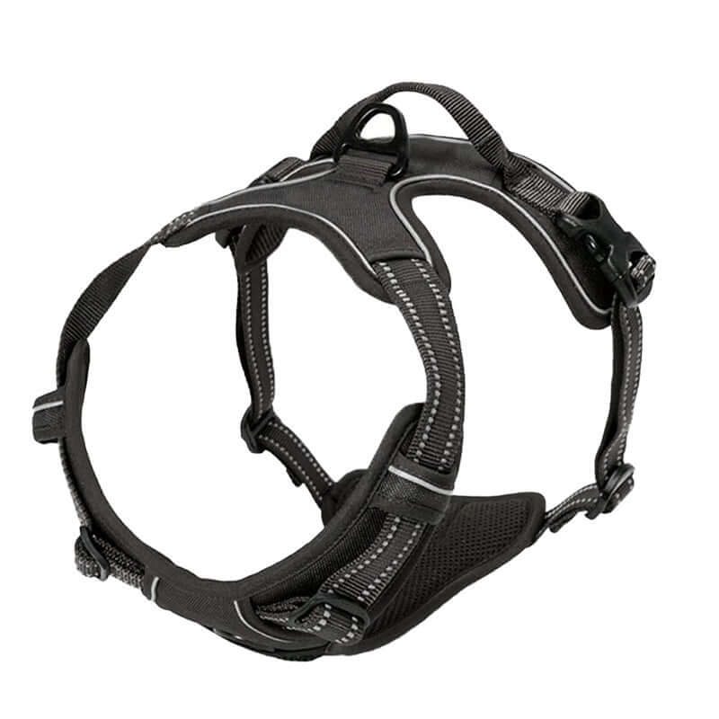 Harnais de sécurité noir pour chien, léger et confortable, idéal pour les promenades et les activités en plein air.