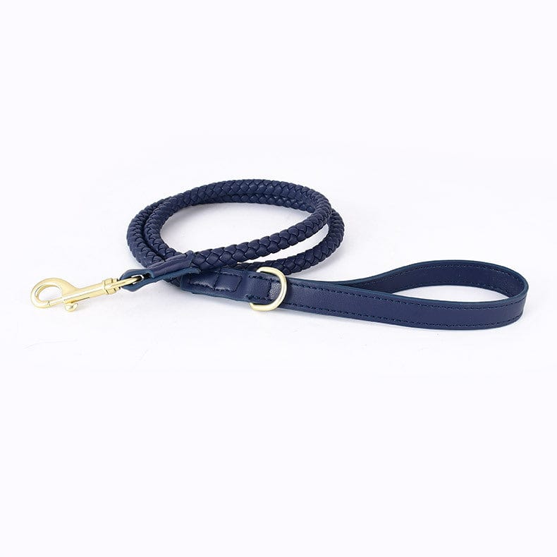Laisse en cuir tressé pour chien, durable et élégante, avec fermoir en métal doré.