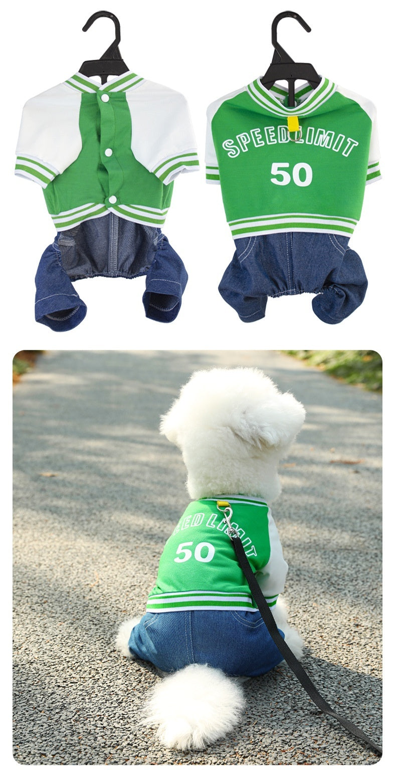 Pull à la mode pour chien avec inscription 'SPEED LIMIT 50', style décontracté vert et bleu.
