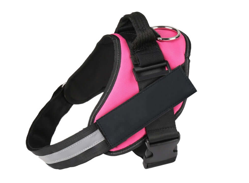 Harnais pour chien en nylon rose, conçu pour le confort et la sécurité lors des promenades et activités extérieures.