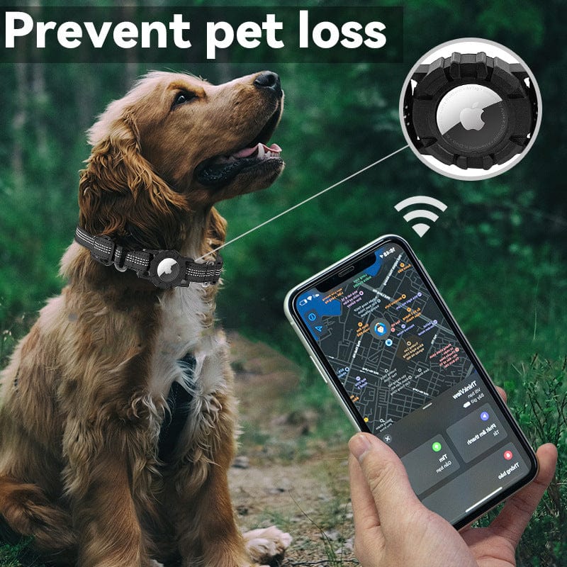 Collier Anti-perte pour Chien avec technologie de suivi, chien en extérieur avec smartphone affichant la localisation.