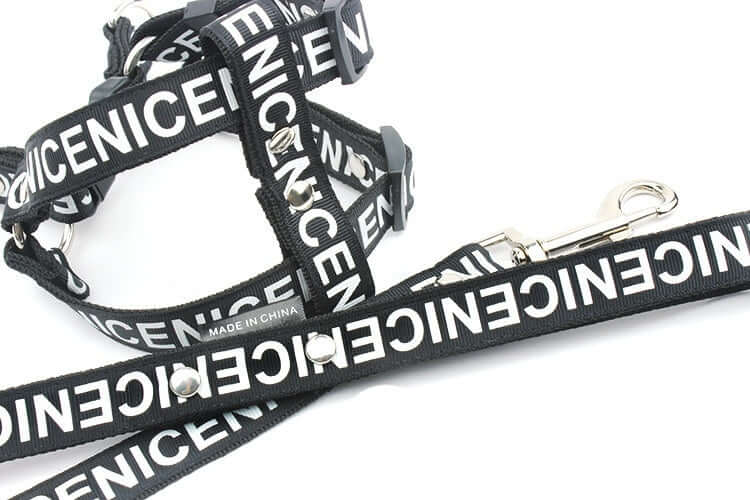 Collier traction polyester pour chien avec laisse assortie, idéal pour promenades et confort animal.