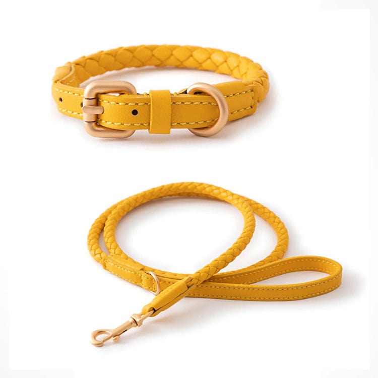 Collier en cuir jaune tressé et laisse assortie pour grands chiens, alliant style et sécurité.