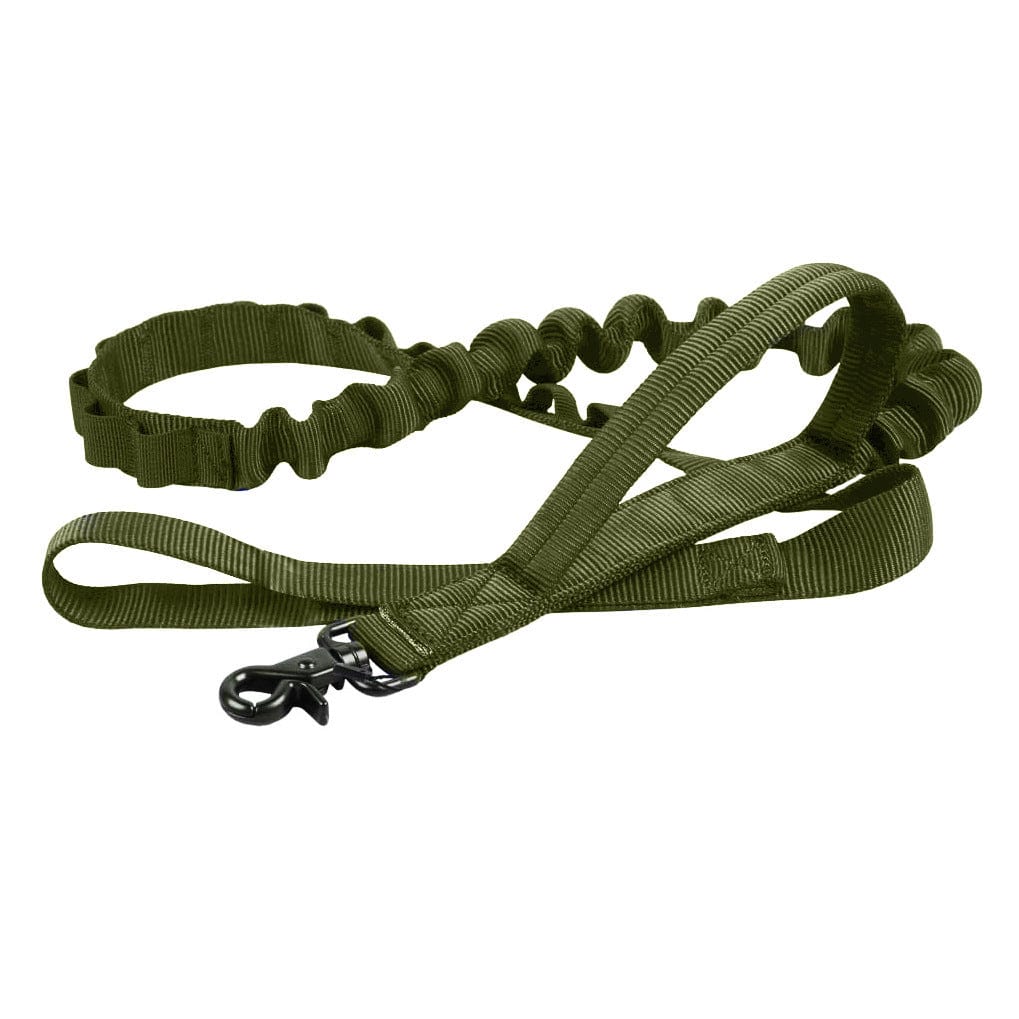 Collier et laisse tactique pour chien en nylon militaire, réglable et durable, couleur verte.