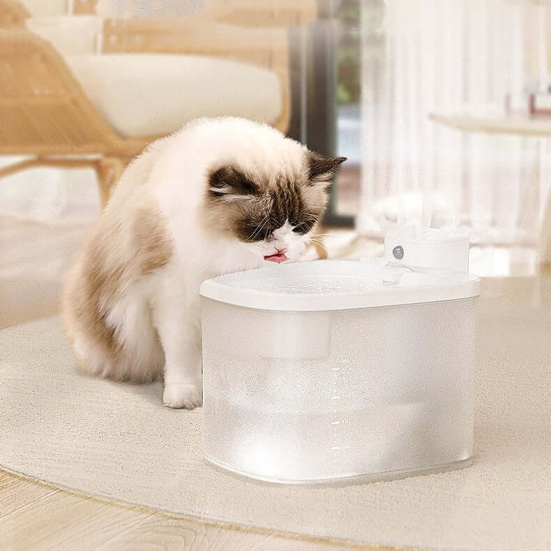 Chat buvant de l'eau avec un distributeur d'eau sans fil moderne conçu pour l'hydratation des animaux.