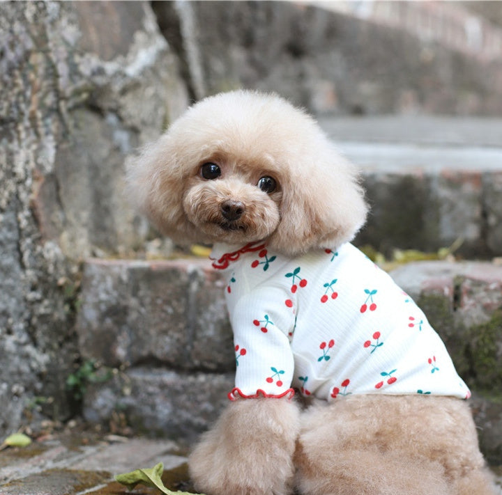 Chien élégant avec un haut en coton à imprimé cerise et bords ondulés, posé sur des escaliers.