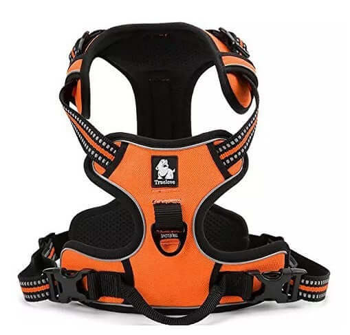 Harnais réfléchissant Truelove pour chiens, en nylon, couleur orange, rembourré, sécurisé pour promenades de jour et nuit.
