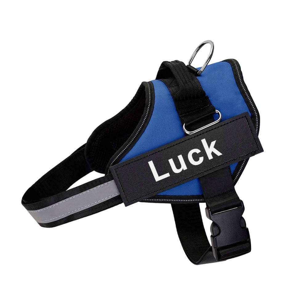 Harnais pour chien bleu avec sangle ajustable, conçu pour confort et sécurité, idéal pour les promenades.