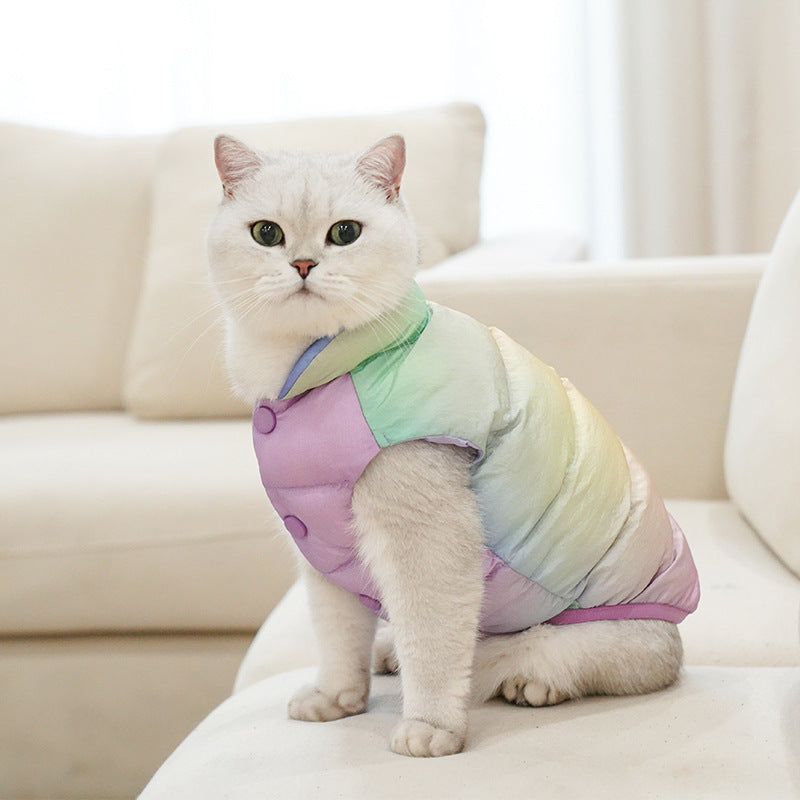 Gilet coloré pour chat en coton biologique, idéal pour l'hiver et les balades en plein air.