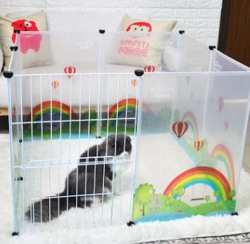 Clôture transparente pour animaux avec un chat, offrant protection et esthétique dans un jardin.