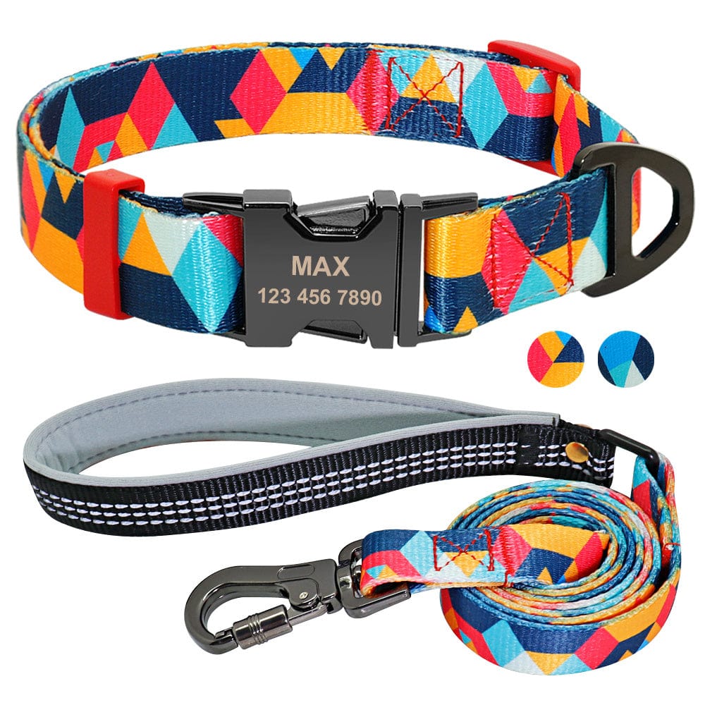 Collier pour chien avec étiquettes personnalisées et laisse assortie, design coloré et durable pour petits et moyens chiens.