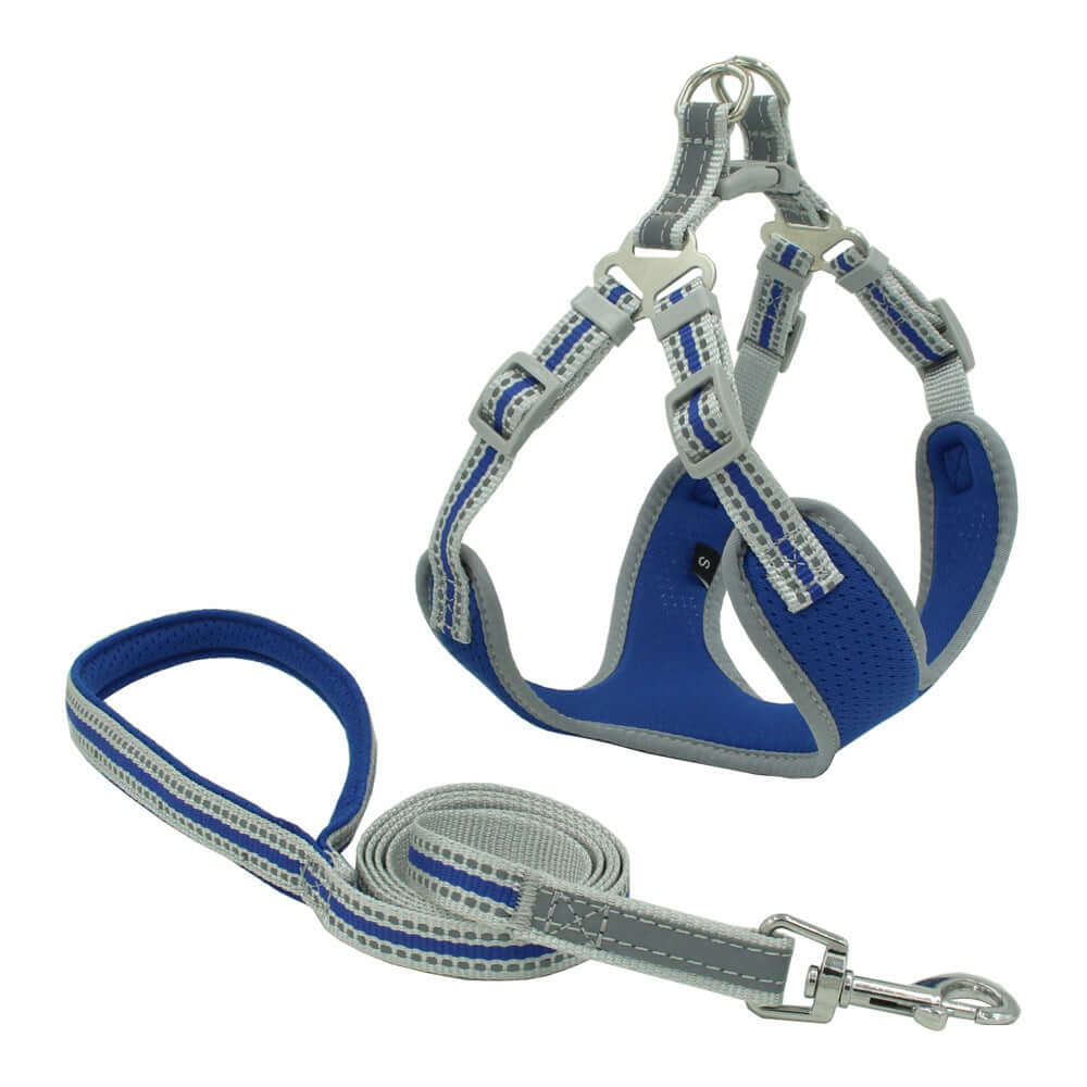 Harnais pour chien en maille réfléchissante et respirante, avec laisse assortie en nylon durable.