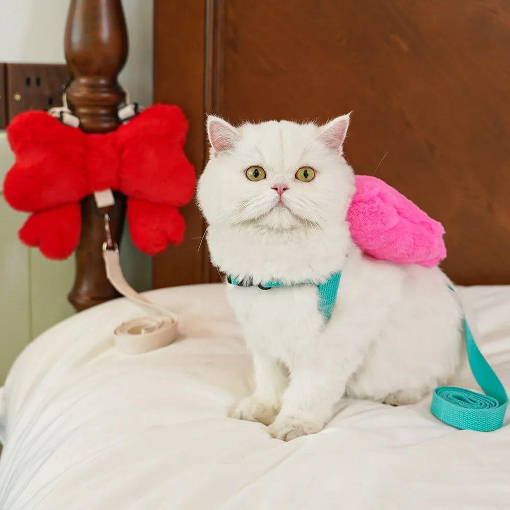 Chat aux poils blancs portant un harnais avec un nœud en cuir coloré, assis sur un lit.