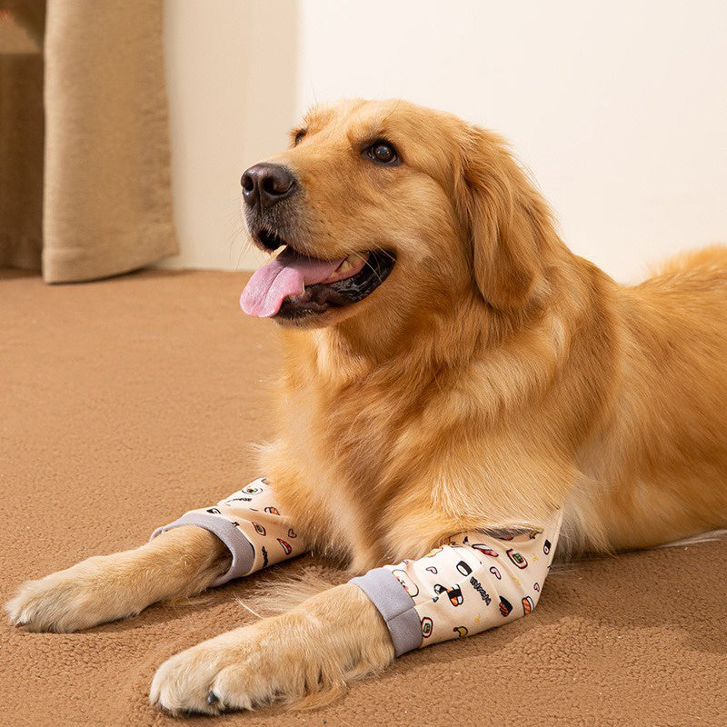 Golden retriever wearing stylish knee protectors, showcasing comfort and protection for pets.