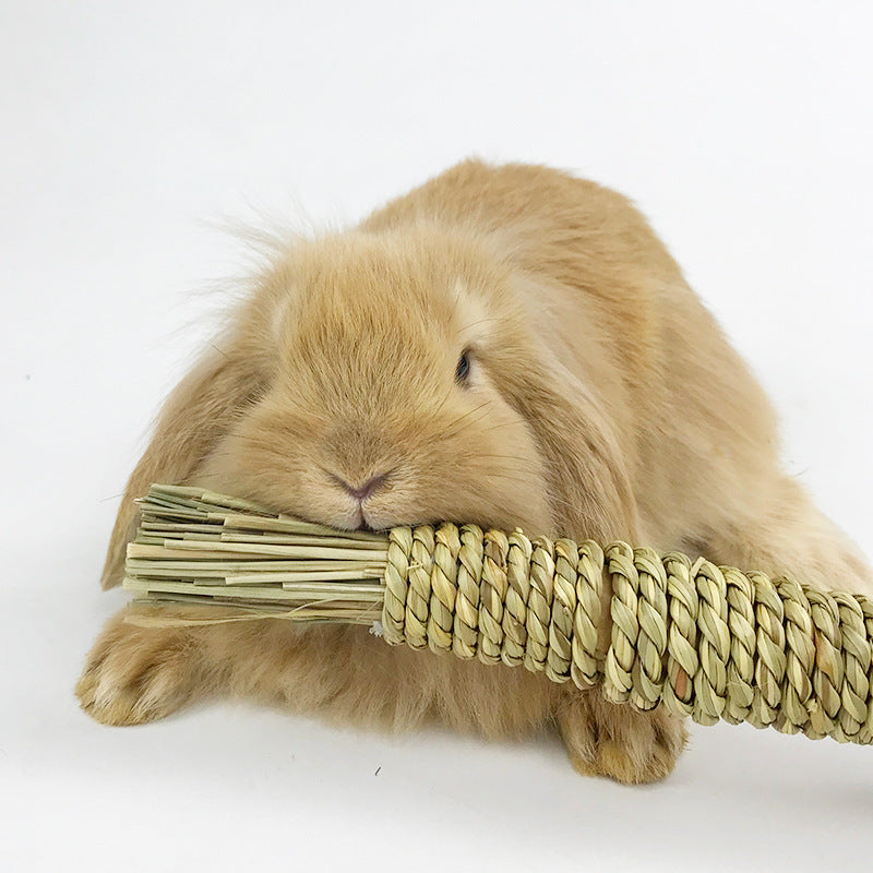 Jouet en Herbe Tressée pour Petits Animaux