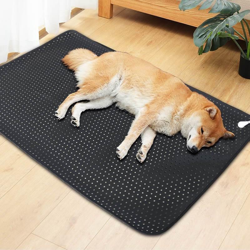 Tapis de mise à la terre pour animaux - Chats & Chiens