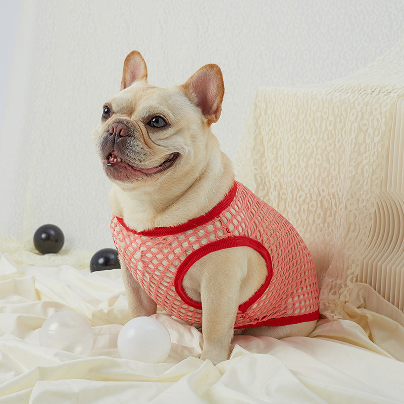 Chien portant un gilet en maille aérée rouge, assis sur un tissu léger avec des balles, idéal pour le confort et le style.
