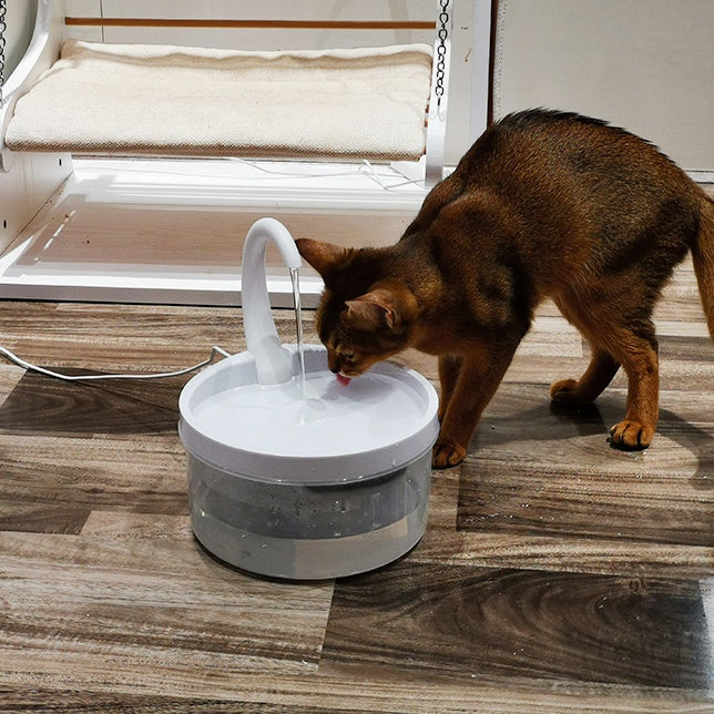 Chat buvant de l'eau à la fontaine automatique pour animaux, encourageant une hydratation saine.