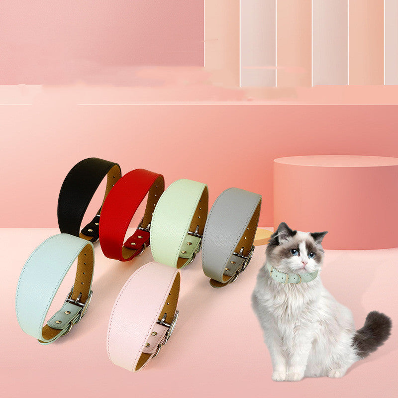 Collier ajustable décontracté pour animaux de différentes couleurs, idéal pour chiens et chats.