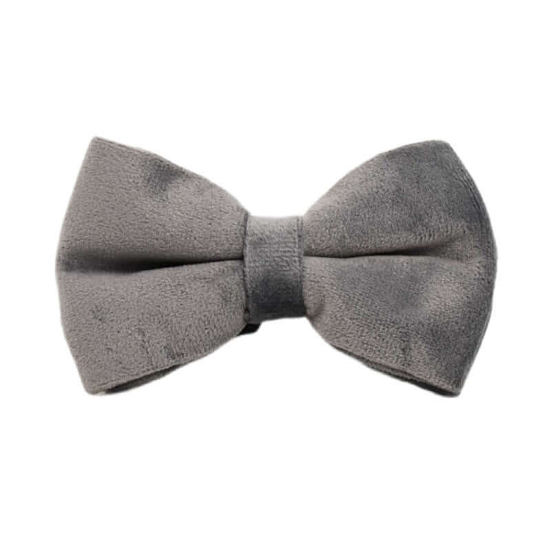 Collier en velours pour chien, élégant et doux, ajoutant une touche de style à votre animal.