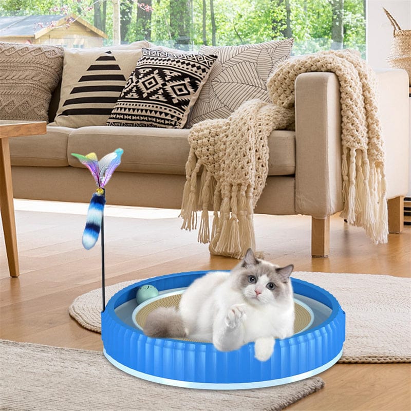 Chat jouant sur une planche à gratter bleue dans un salon moderne avec un décor confortable.