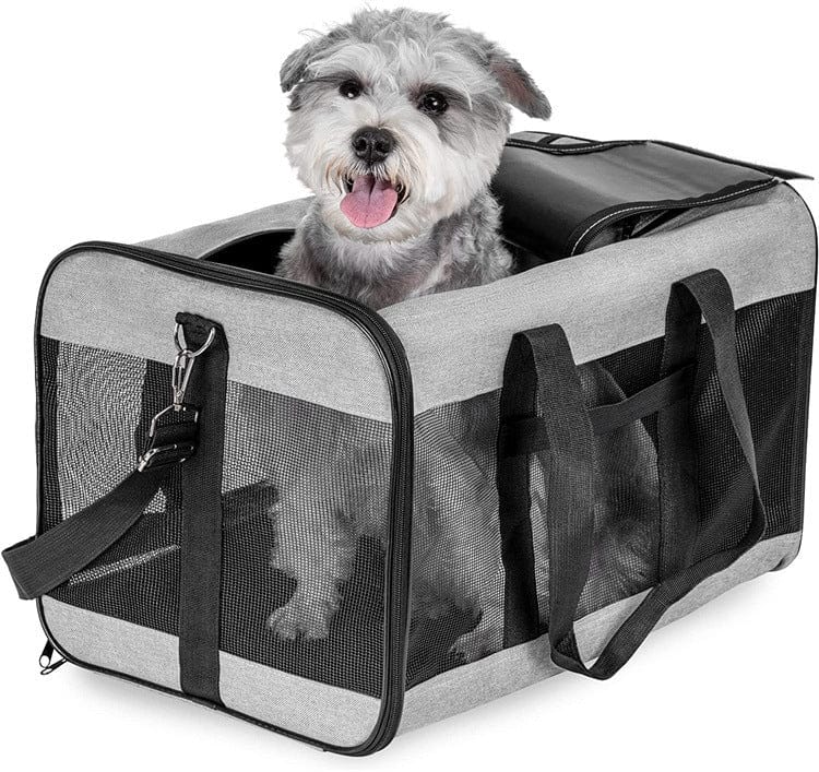 Sac de transport pour animaux de compagnie avec chien heureux à l'intérieur, matériau en toile Oxford, style moderne.