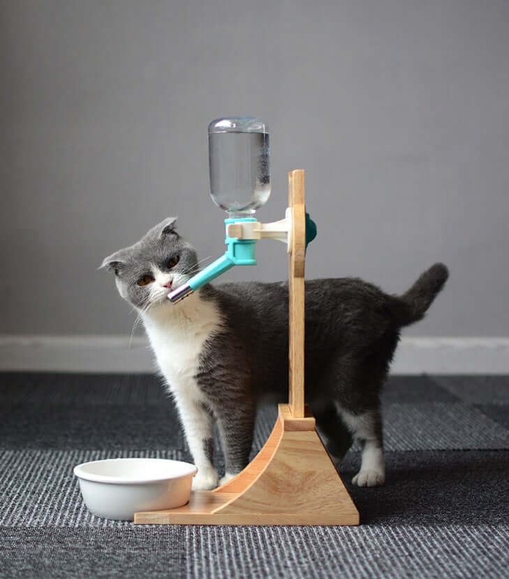 Fontaine à eau en bois pour chats, offrant une hydratation optimale avec un design moderne et fonctionnel.