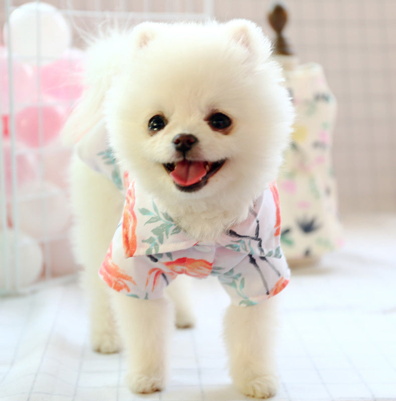 Petit chien Pomeranien portant un t-shirt d'été chic avec motifs floraux, parfait pour les journées ensoleillées.
