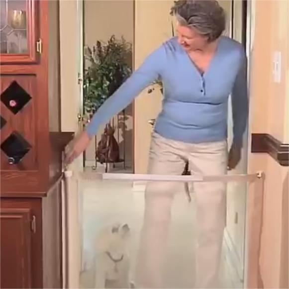 Femme utilisant une barrière d'isolation pour animaux dans une maison, protégeant un chien.