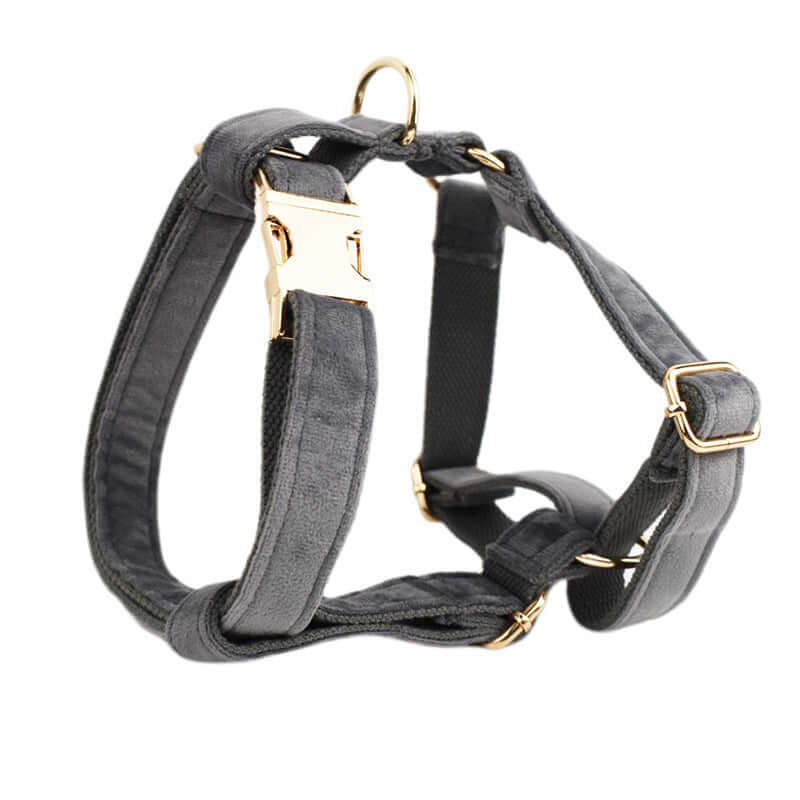 Harnais de sécurité pour chien en tissu doux avec boucle dorée, conçu pour un ajustement confortable et sécurisé.