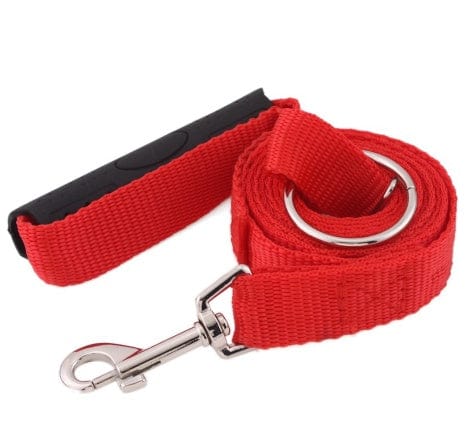 Laisse instantanée rouge pour chien, conçue pour éducation anti-tirage et confort lors des promenades.
