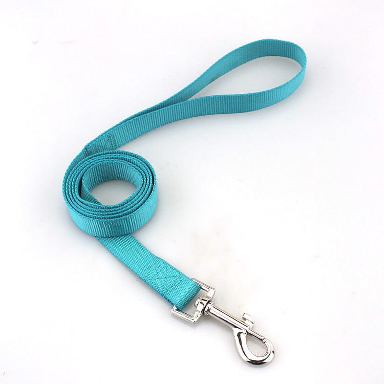 Corde de traction solide en nylon turquoise pour chien, idéale pour les promenades et la sécurité de votre animal.