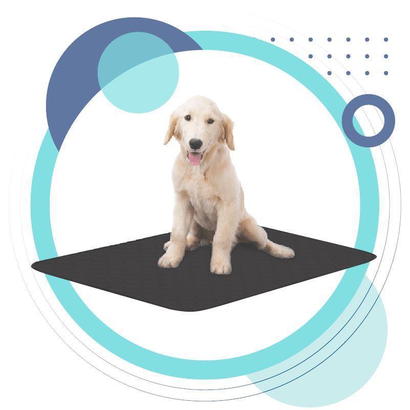 Tapis de mise à la terre pour animaux - Chats & Chiens