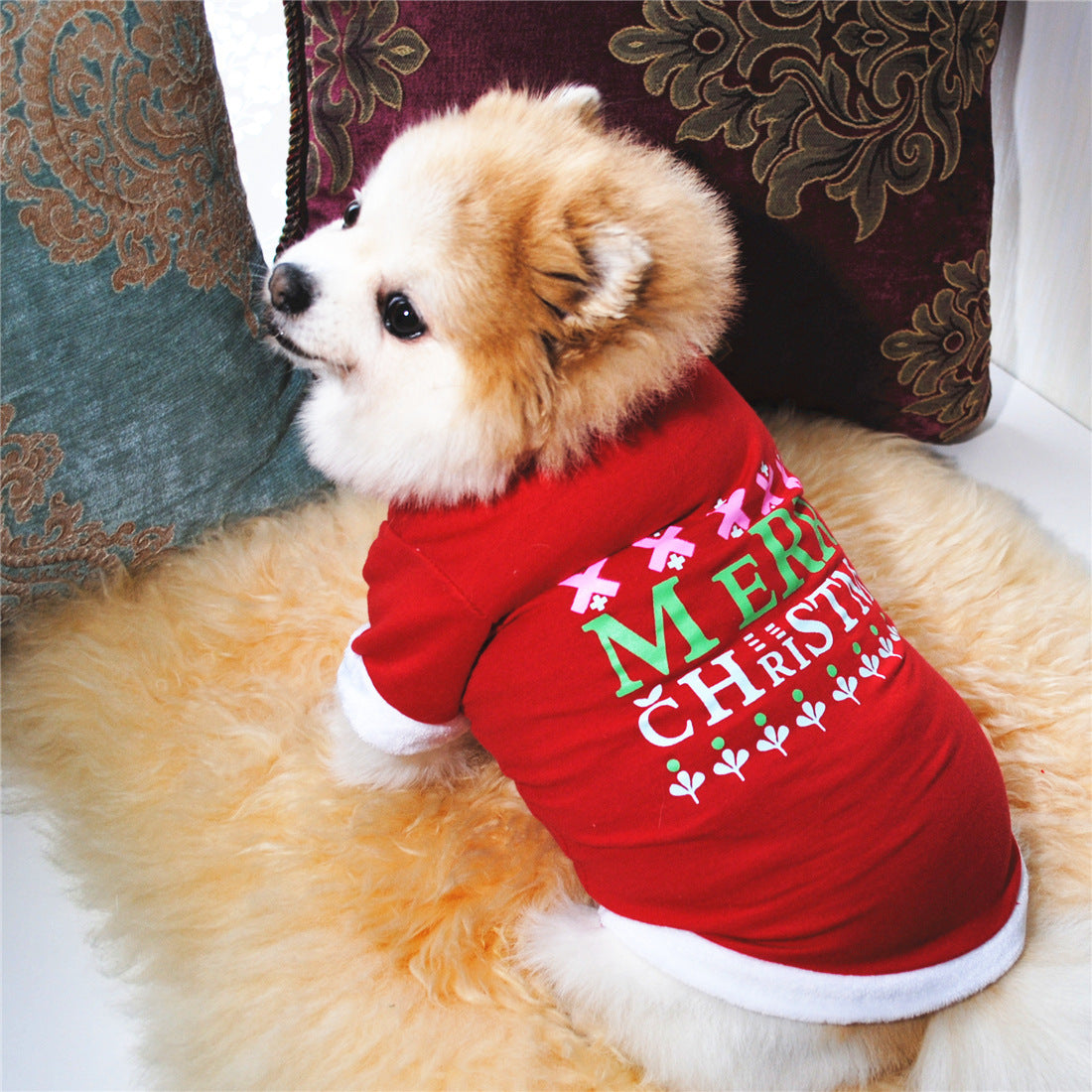 Chien portant une robe de Noël rouge en coton Terry, assis sur un coussin doux, décoré pour les fêtes.