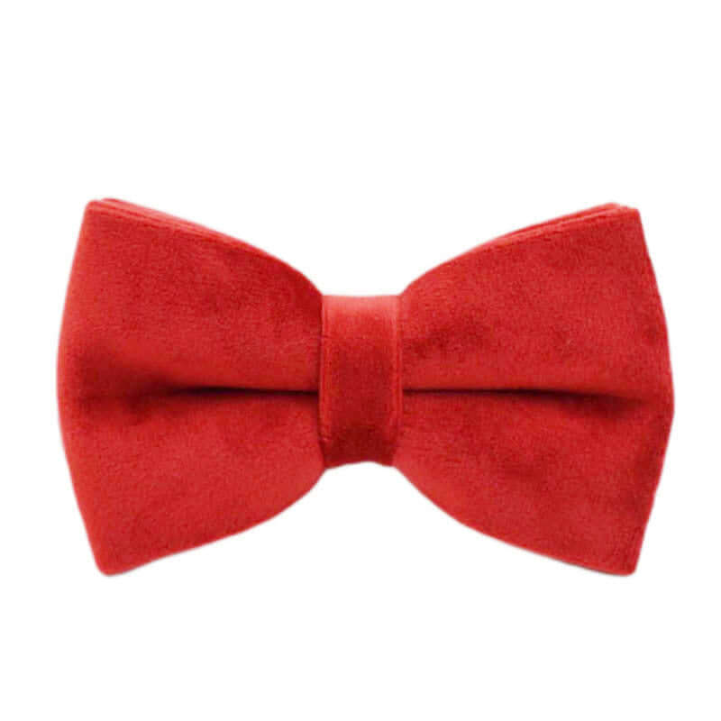 Noeud papillon rouge en velours pour accessoire de mode pour chien, élégant et stylé.