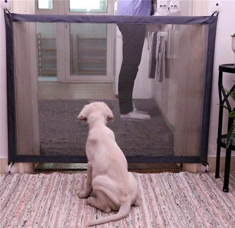 Clôture de sécurité pour animaux, filet d'isolement, protégeant vos animaux à la maison.
