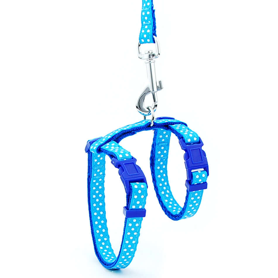Laisse anti-rupture en nylon bleu à pois pour chat, conçue pour la sécurité lors des sorties.