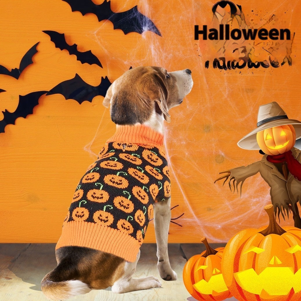 Chien portant un pull Halloween à motifs citrouille, idéal pour l'automne et l'hiver avec ambiance festive.
